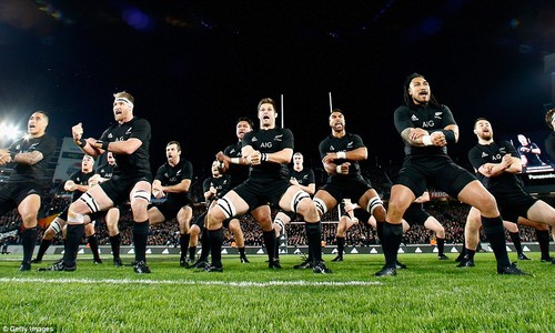 Rugby – the pride of New Zealand - ảnh 1